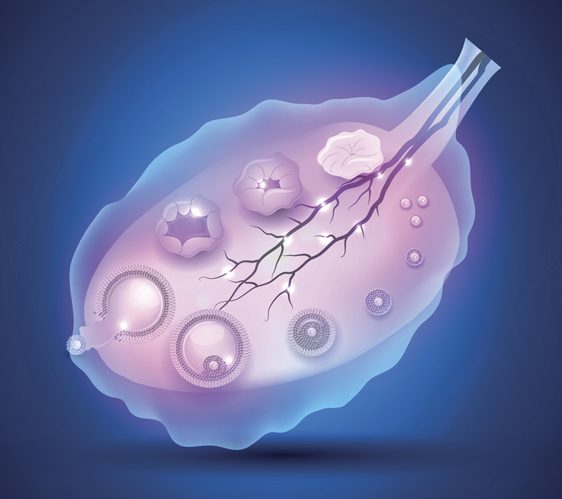 深圳市试管婴儿医院排名榜-深圳市试管婴儿哪家好！